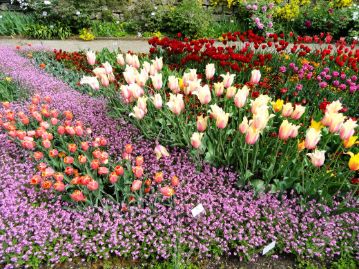 631855 (a): :2560x1920